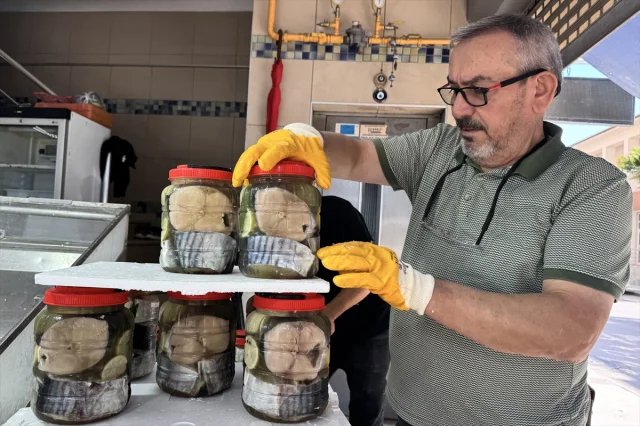 Sinop'ta Coğrafi İşaretli Lakerda Raflarda: Fiyatlar Yükseliyor