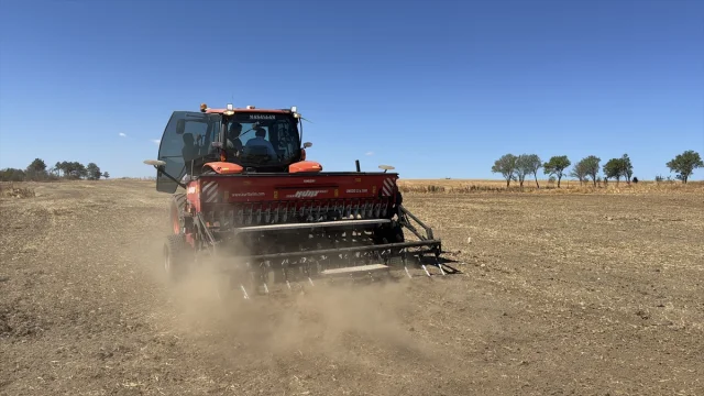 Edirne'de Kanola Üretimi Şimdi Daha Güçlü