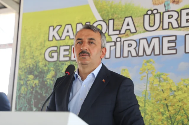Edirne'de Kanola Üretimi Şimdi Daha Güçlü