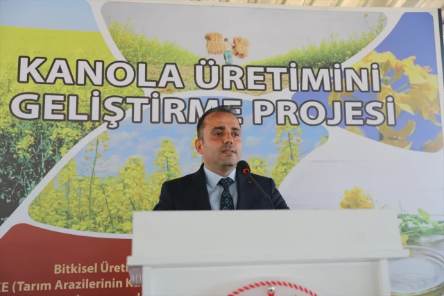 Edirne'de Kanola Üretimi Şimdi Daha Güçlü