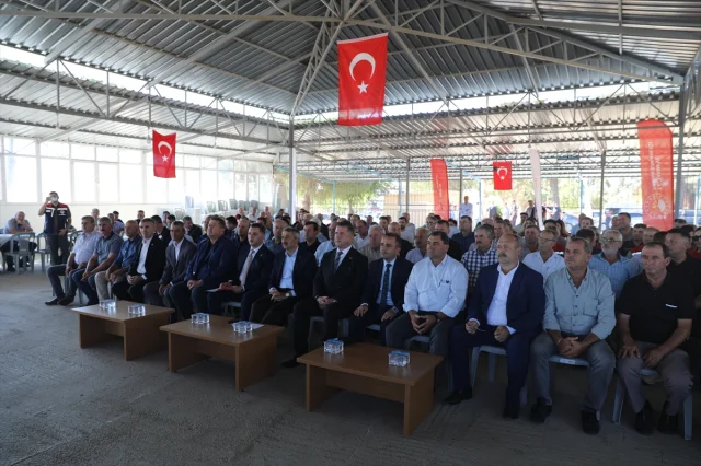 Edirne'de Kanola Üretimi Şimdi Daha Güçlü