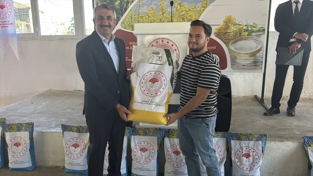 Edirne'de Kanola Üretimi Şimdi Daha Güçlü