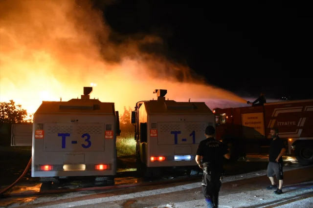 Samsun'da Kereste Fabrikası Alevlere Teslim