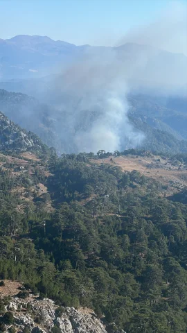 Köyceğiz'de Yangınla Mücadele Sürüyor Büyük Çaba Harcanıyor
