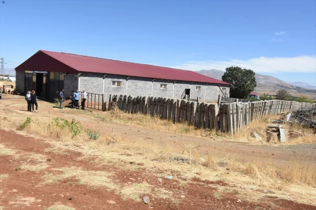 Malatya'da Devasa Destek: Hayvancılıkta Yeni Dönem Başlıyor