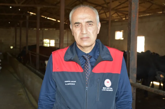 Malatya'da Devasa Destek: Hayvancılıkta Yeni Dönem Başlıyor
