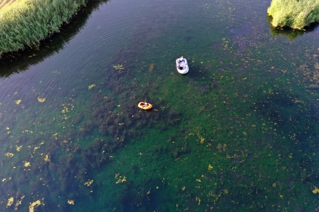 Karasu Sulak Alanı Yok Olmanın Eşiğinde