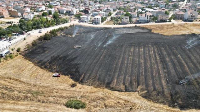 Bursa'da Anız Yangını Korkuttu: Evlere Yaklaştı
