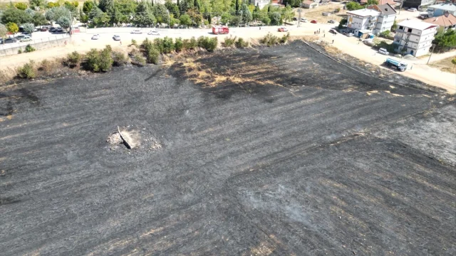 Bursa'da Anız Yangını Korkuttu: Evlere Yaklaştı