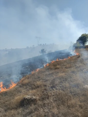 Tokat'ta Makilik Alanda Yangın: Panik Büyüyor