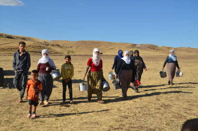 Muş Yolgözler'de Kadınların Zorlu Süt Sağım Mesaisi: Eşsiz Bir Mücadele