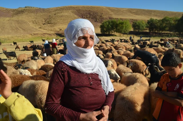 Muş Yolgözler'de Kadınların Zorlu Süt Sağım Mesaisi: Eşsiz Bir Mücadele