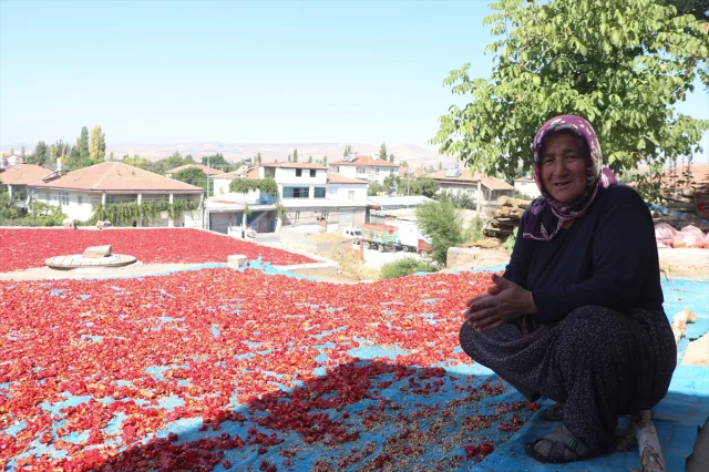 Kayseri'nin Gizli Hazinesi: Cırgalan Biberi Dünyaya Yayılıyor
