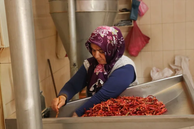 Kayseri'nin Gizli Hazinesi: Cırgalan Biberi Dünyaya Yayılıyor