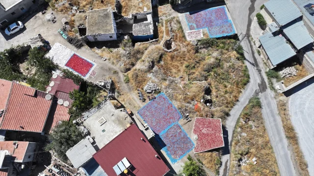 Kayseri'nin Gizli Hazinesi: Cırgalan Biberi Dünyaya Yayılıyor