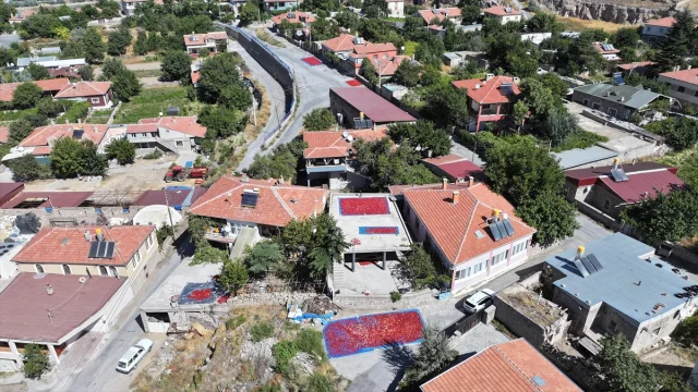 Kayseri'nin Gizli Hazinesi: Cırgalan Biberi Dünyaya Yayılıyor