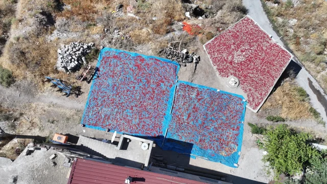 Kayseri'nin Gizli Hazinesi: Cırgalan Biberi Dünyaya Yayılıyor