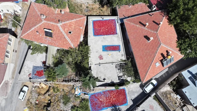 Kayseri'nin Gizli Hazinesi: Cırgalan Biberi Dünyaya Yayılıyor