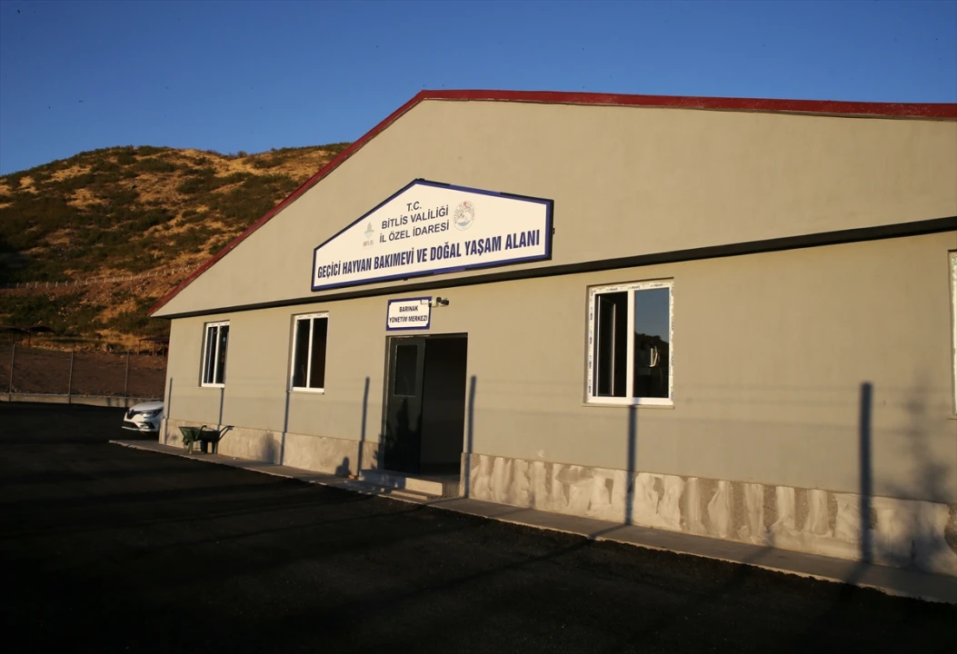 Bitlis'te Sokak Hayvanları İçin Örnek Proje: Doğal Yaşam Alanı Açıldı