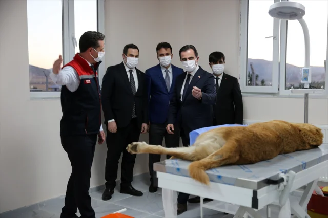 Bitlis'te Sokak Hayvanları İçin Örnek Proje: Doğal Yaşam Alanı Açıldı