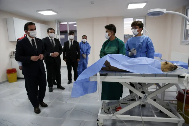 Bitlis'te Sokak Hayvanları İçin Örnek Proje: Doğal Yaşam Alanı Açıldı