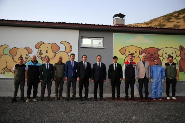 Bitlis'te Sokak Hayvanları İçin Örnek Proje: Doğal Yaşam Alanı Açıldı