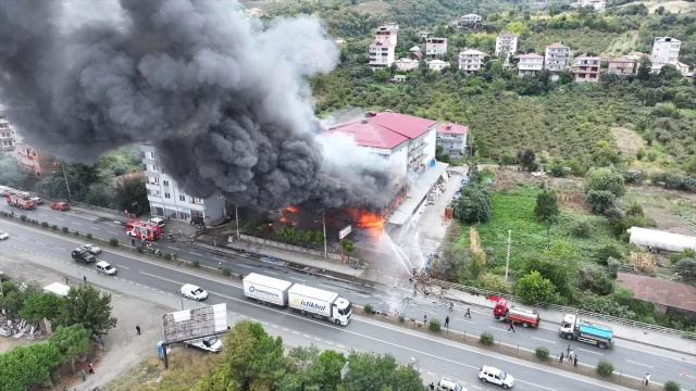 Trabzon'da AVM'de Alevler Paniğe Sebep Oldu: Kontrol Altına Alma Çalışmaları Sürüyor