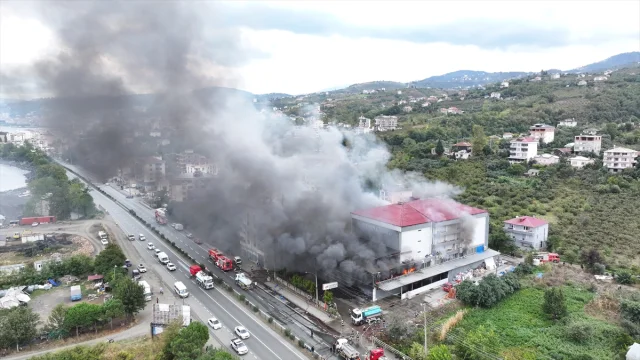 Trabzon'da AVM'de Alevler Paniğe Sebep Oldu: Kontrol Altına Alma Çalışmaları Sürüyor