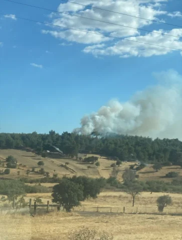 Çanakkale'de Yangın Kabusu: Tarım Arazisi Alevlere Teslim