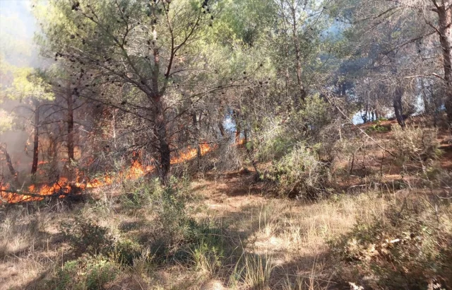 Çanakkale'deki Büyük Yangın İle Mücadelede Neler Yaşandı