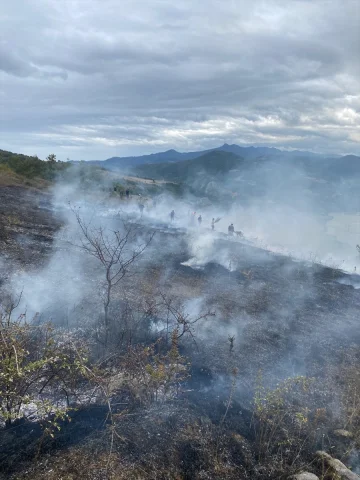 Samsun'un Bafra İlçesinde Çıkan Yangın Korkuttu: 150 Dekar A...