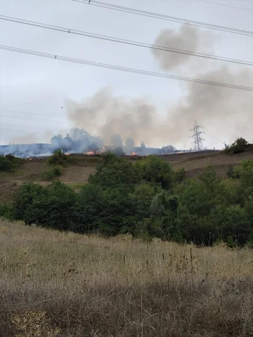 Samsun'un Bafra İlçesinde Çıkan Yangın Korkuttu: 150 Dekar Alan Küle Döndü