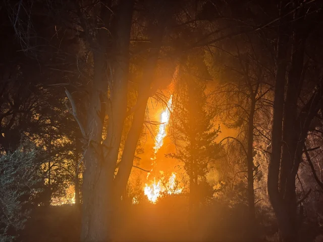 Antalya'da Orman Yangını Tedirgin Ediyor: Aksu'da Önlemler A...