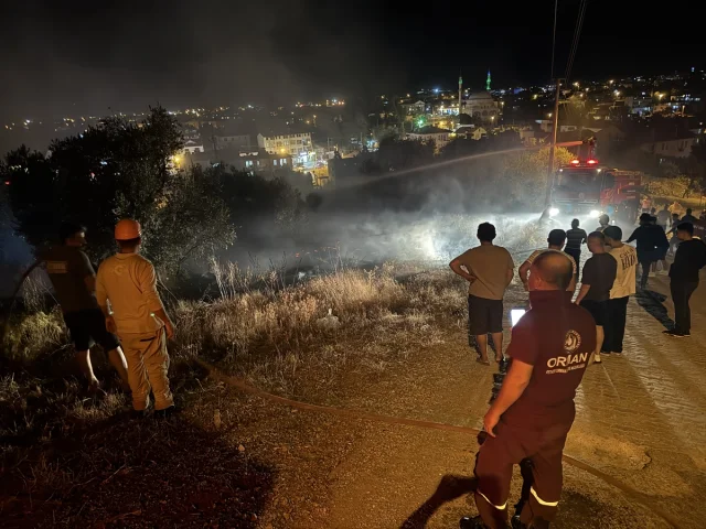 Fethiye'deki Zeytinlik Yangını Kontrol Altında: Ekiplerin Yoğun Mesaisi