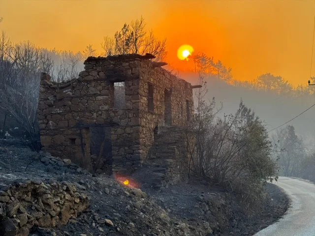 Antalya'nın Alanya İlçesindeki Korkutan Yangın Hakkında Her Şey
