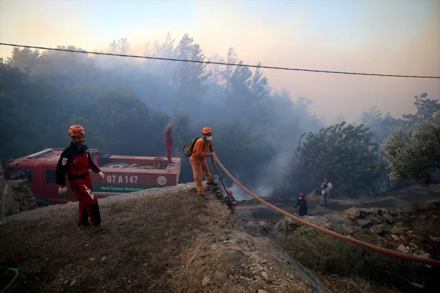 Antalya Alanya'da Tehlike Büyüyor: Orman Yangını Hız Kesmeden Devam Ediyor