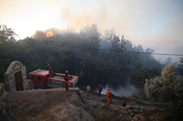 Antalya Alanya'da Tehlike Büyüyor: Orman Yangını Hız Kesmeden Devam Ediyor