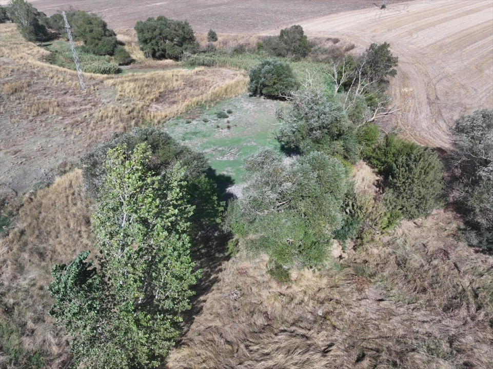 Edirne'de Kuraklığın Yeni Kurbanı: Musabeyli Göleti Kurudu