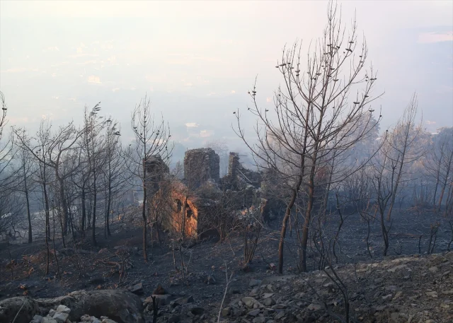 Antalya Alanya'da Tehlike Büyüyor: Orman Yangını Hız Kesmeden Devam Ediyor