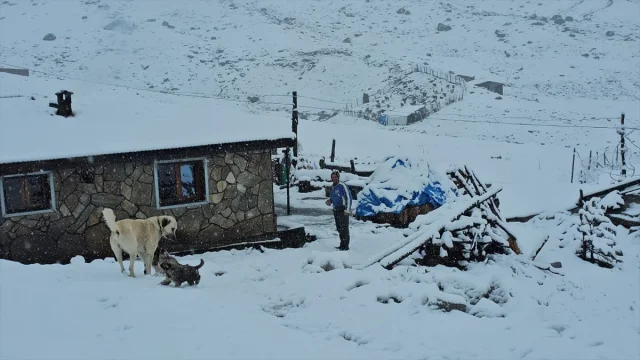 Rize'nin Yaylalarına Mevsimin İlk Karı Düştü: Doğa Severler...