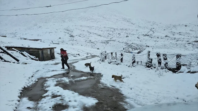 Rize'nin Yaylalarına Mevsimin İlk Karı Düştü: Doğa Severler İçin Mükemmel Bir Manzara