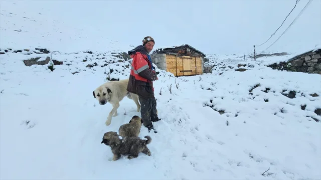 Rize'nin Yaylalarına Mevsimin İlk Karı Düştü: Doğa Severler İçin Mükemmel Bir Manzara