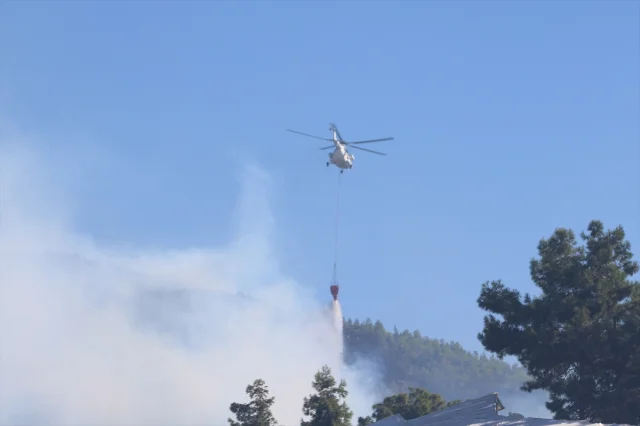Antalya Alanya'da Tehlike Büyüyor: Orman Yangını Hız Kesmeden Devam Ediyor