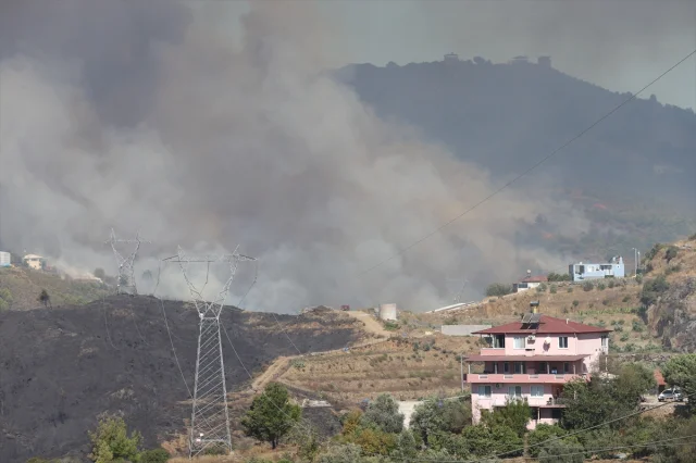 Antalya Alanya'da Tehlike Büyüyor: Orman Yangını Hız Kesmeden Devam Ediyor