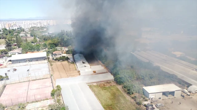 Antalya'da Sazlık Yangını Tehlikeli Boyutlara Ulaştı: Yerleşim Yerleri Risk Altında