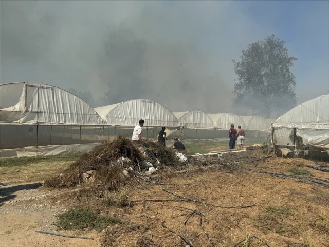 Antalya'da Sazlık Yangını Tehlikeli Boyutlara Ulaştı: Yerleşim Yerleri Risk Altında