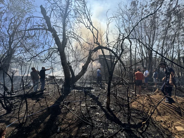 Antalya'da Sazlık Yangını Tehlikeli Boyutlara Ulaştı: Yerleşim Yerleri Risk Altında