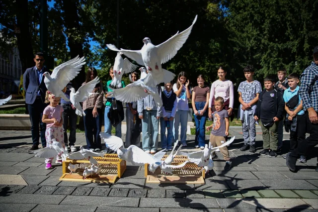 Bosna Hersek'te Beyaz Güvercinler Gazzeli Çocukların Anısına Gökyüzünde