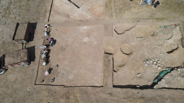 Nerik'te 3 Bin 500 Yıllık Fındık Fosili: Arkeoloji Dünyasınd...