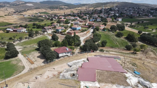 Nerik'te 3 Bin 500 Yıllık Fındık Fosili: Arkeoloji Dünyasında Büyük Keşif